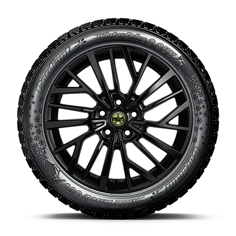 Cordiant Winter Drive 2 