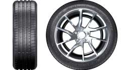 linglong-sport-master-2.jpg