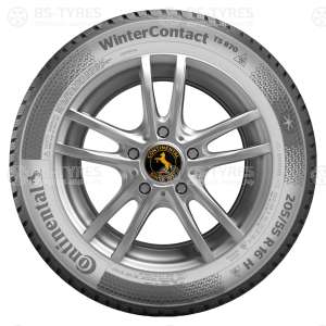 ContiWinterContact TS870
