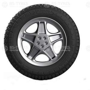 Agilis CrossClimate